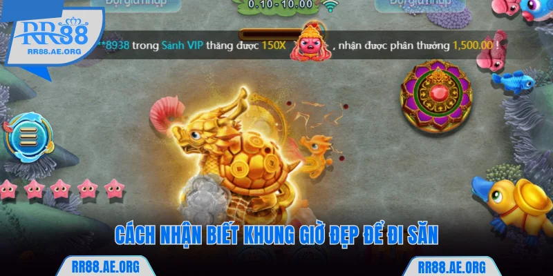 Cách nhận biết khung giờ đẹp để đi săn cá RR88